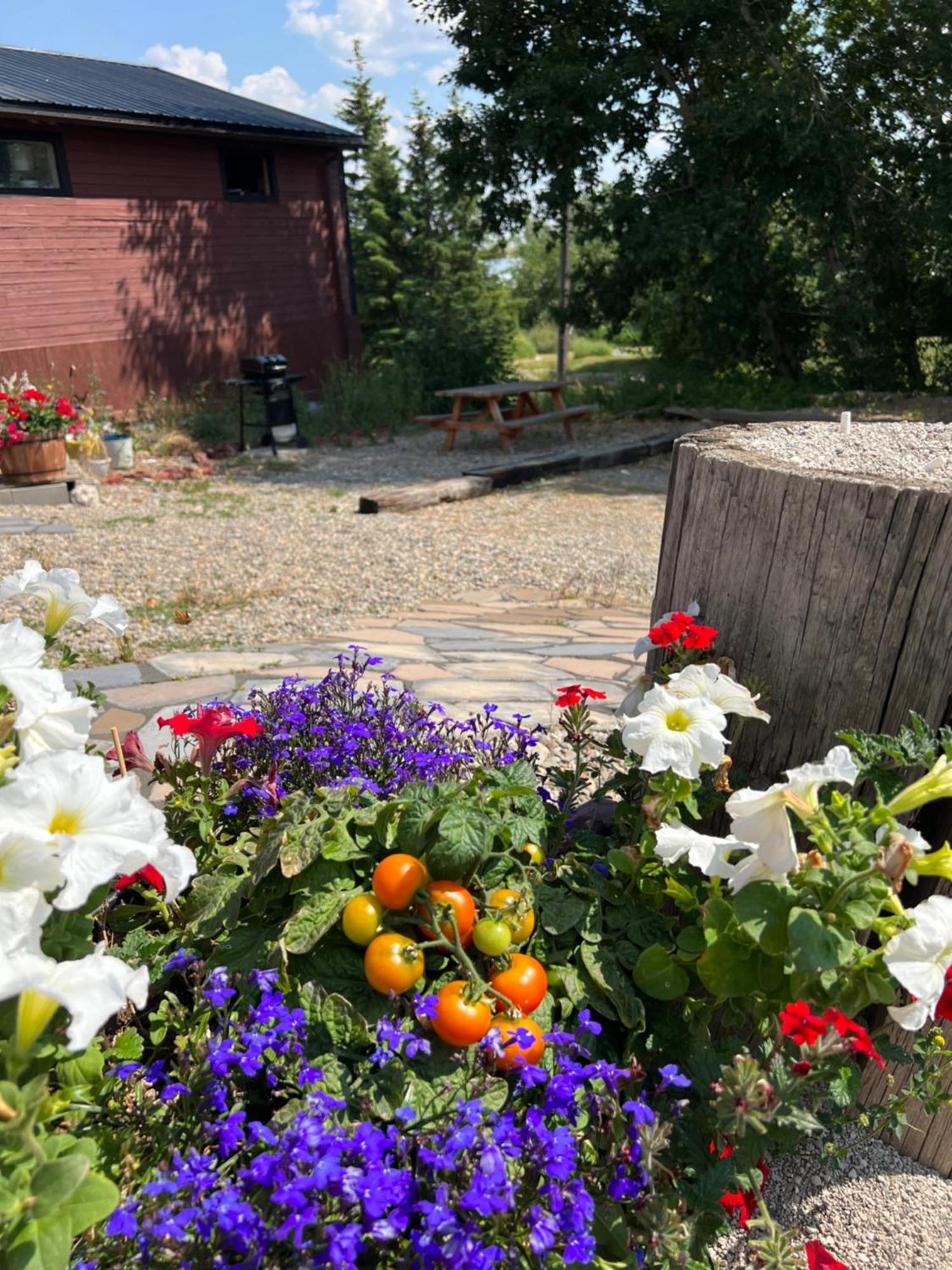 Bear Country Inn And Suites Mountain View Екстериор снимка
